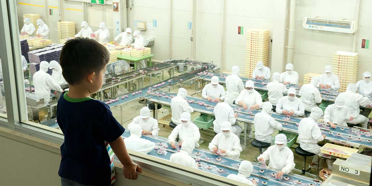 工場見学